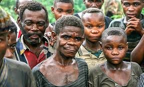 Les peuples pygmées réclament leur place au sein du Gouvernement d’Union nationale